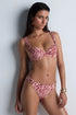 Aubade Feline Energy Moulded push-up bra